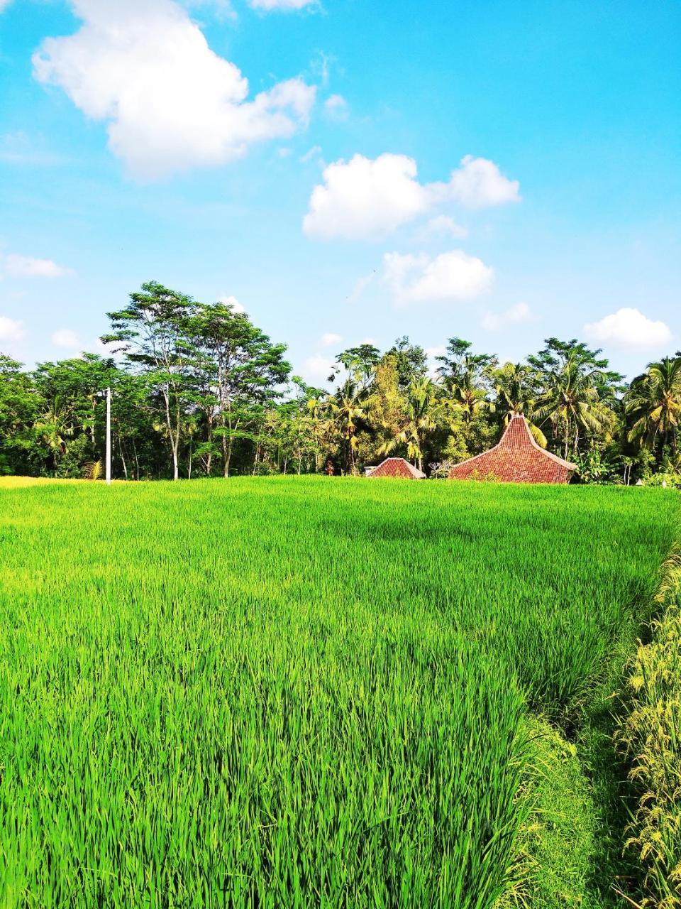 Thani Villa Ubud Extérieur photo